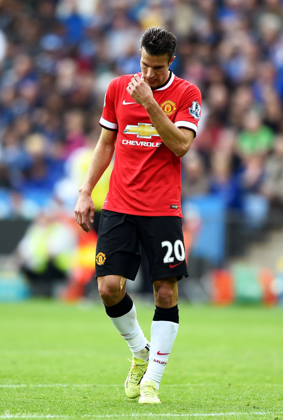 队的战术成 队的战术成