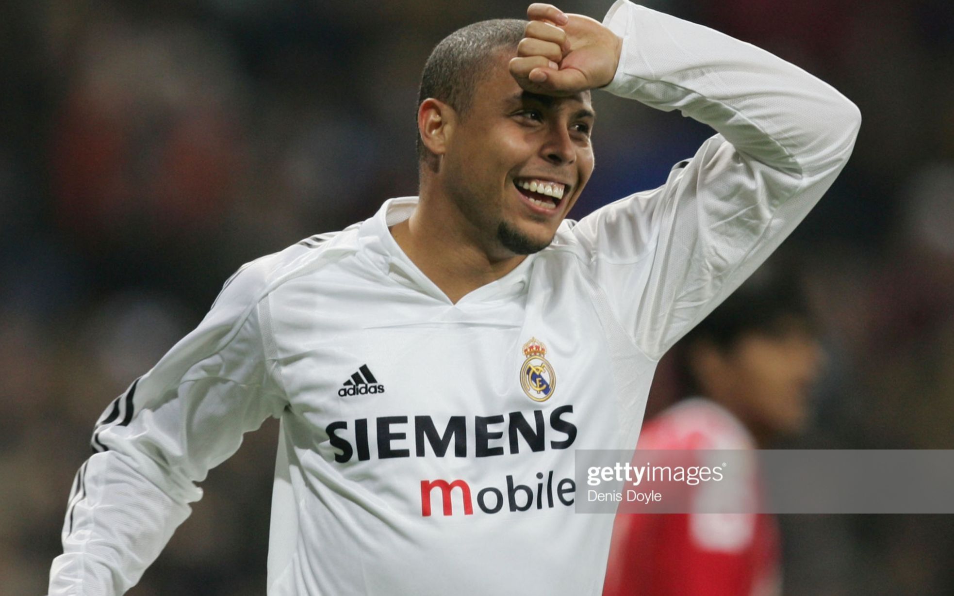 内线苗子的 内线苗子的