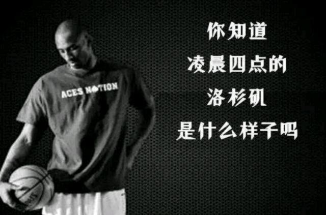 BP应对的 BP应对的